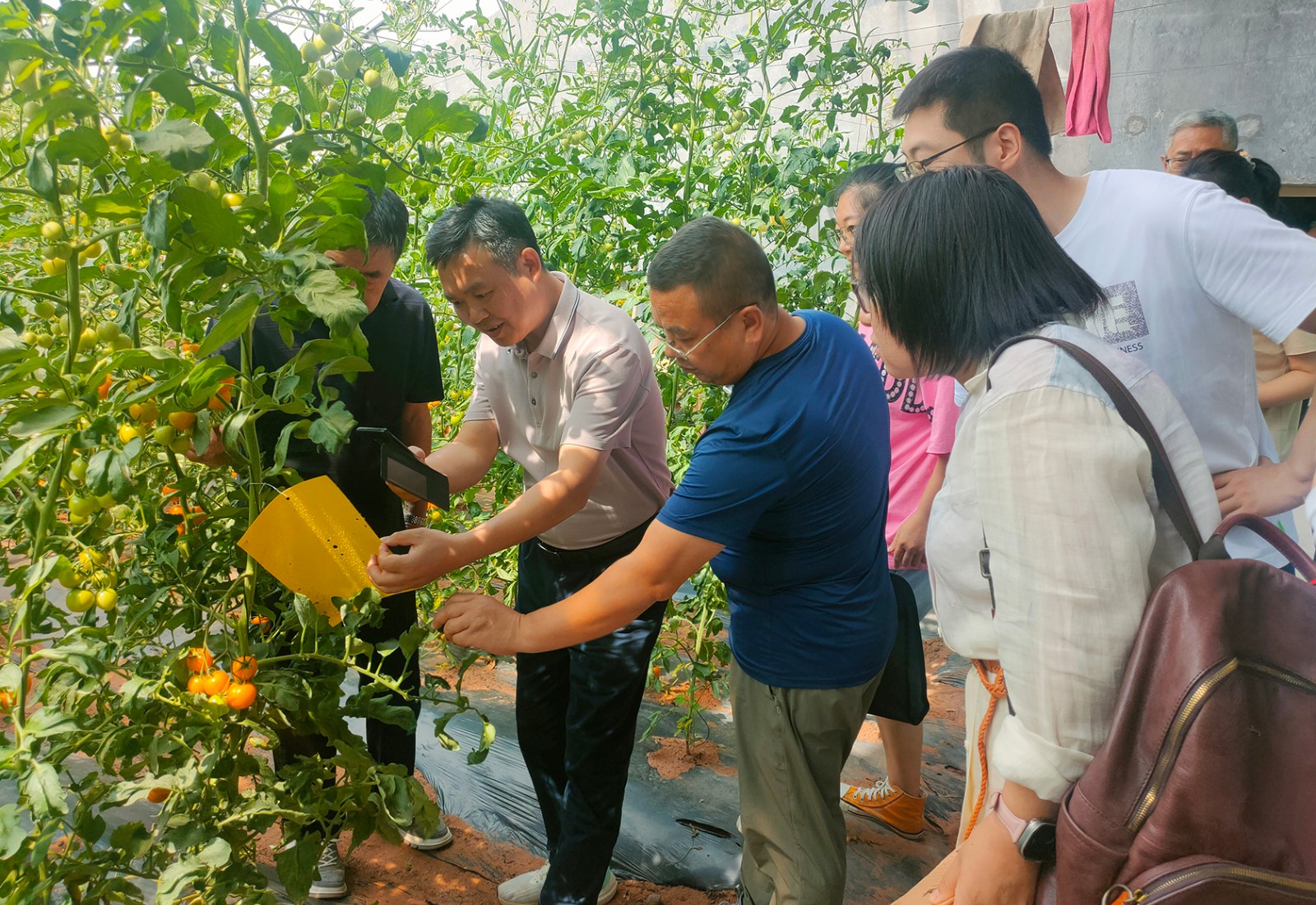 美好農(nóng)場2023年度國家級生態(tài)農(nóng)場新聞稿圖2.jpg